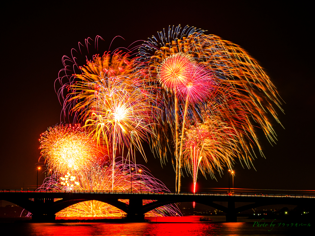 手賀沼花火大会