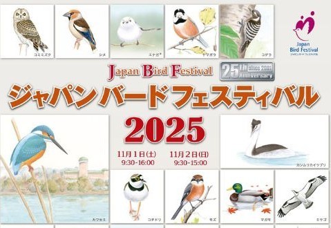 バードフェスティバル